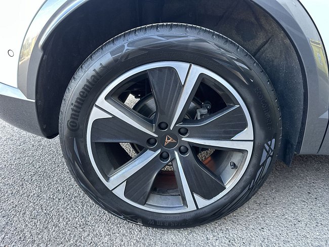 20195541.jpg