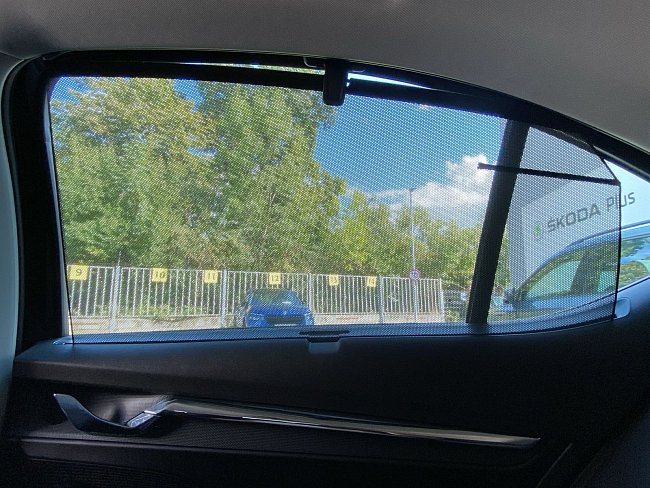 20195561.jpg