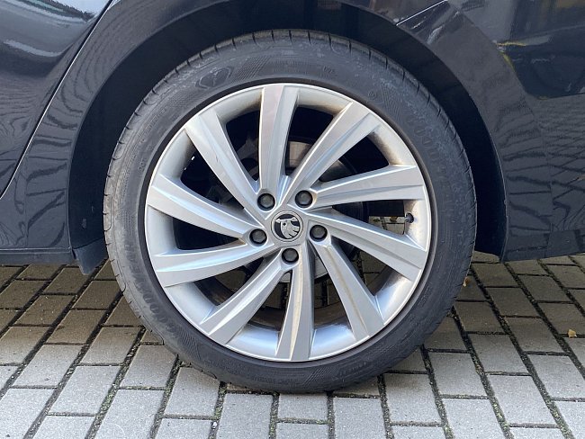 20195565.jpg