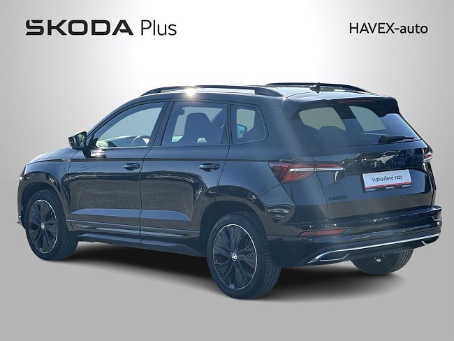 20195541.jpg