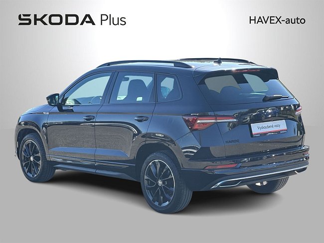 20195543.jpg