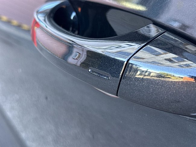 20195550.jpg