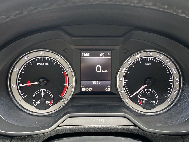 20195545.jpg