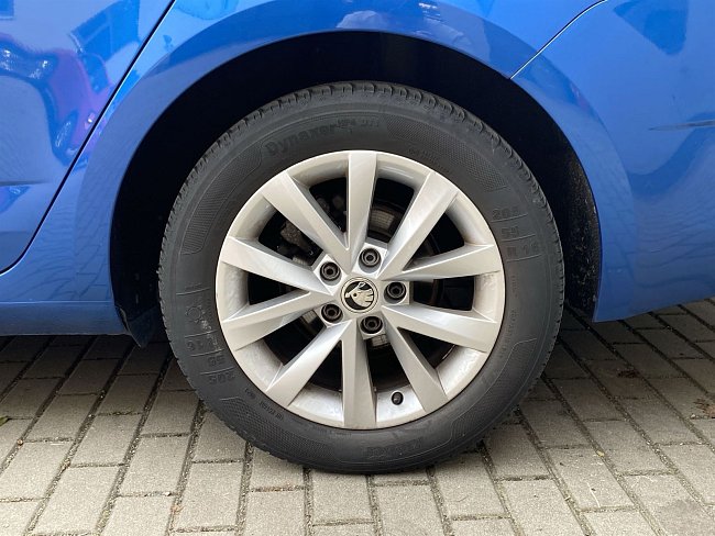 20195569.jpg