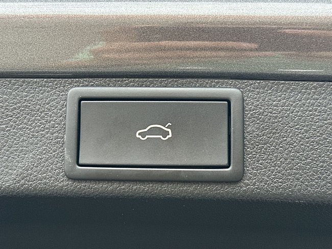20195528.jpg
