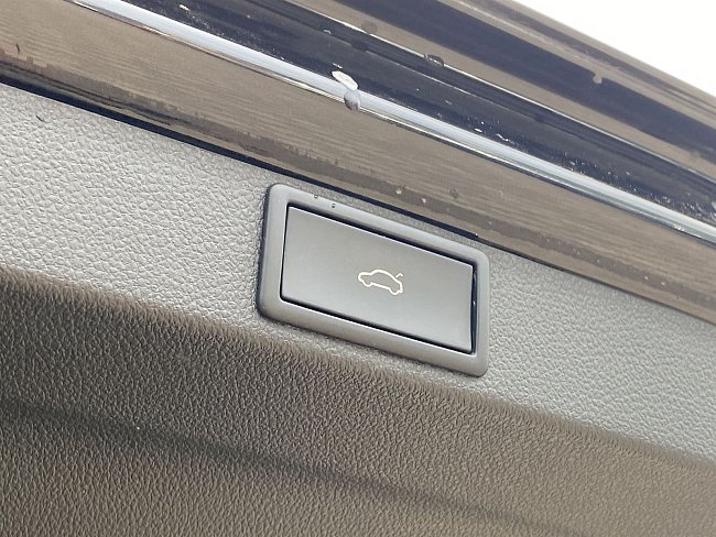 20195543.jpg
