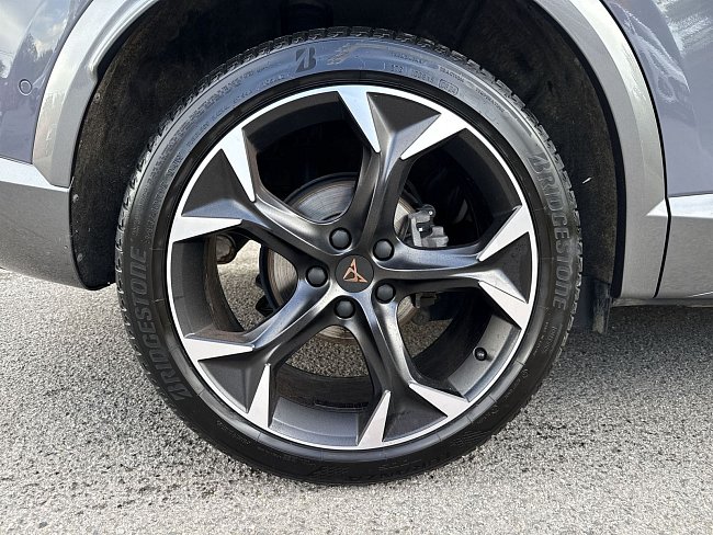 20195380.jpg