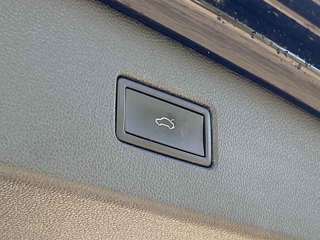 20195384.jpg