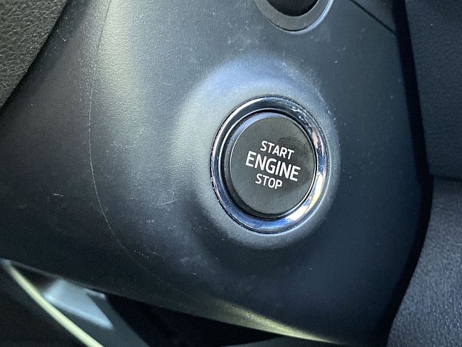 20195374.jpg