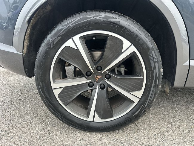 20195346.jpg