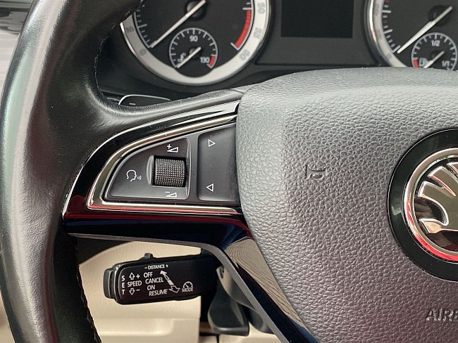 20195331.jpg