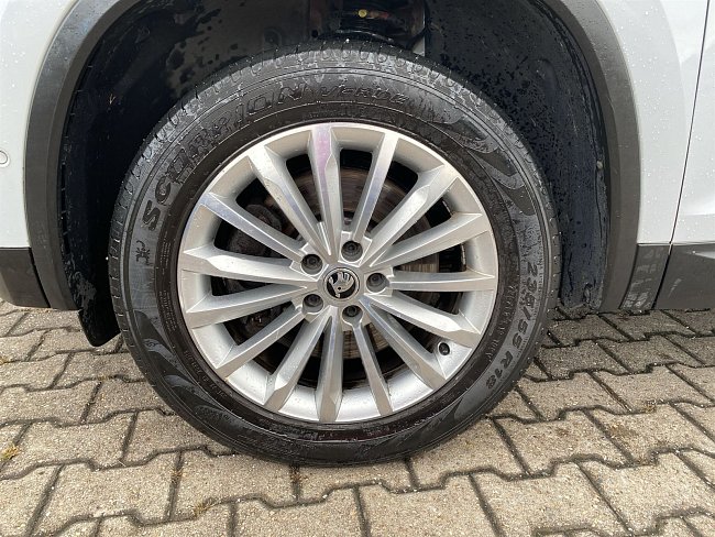 20195355.jpg