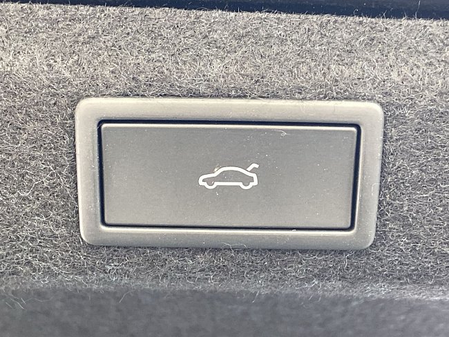 20195380.jpg