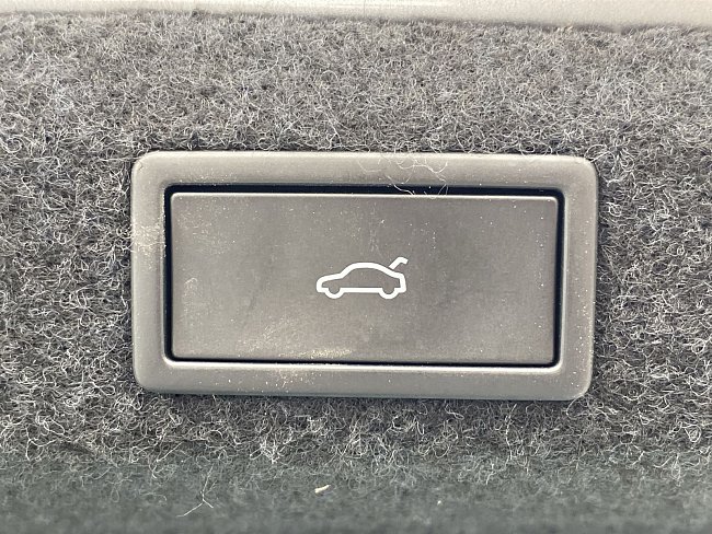20195347.jpg