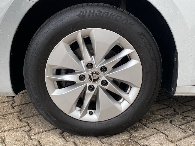 20195344.jpg