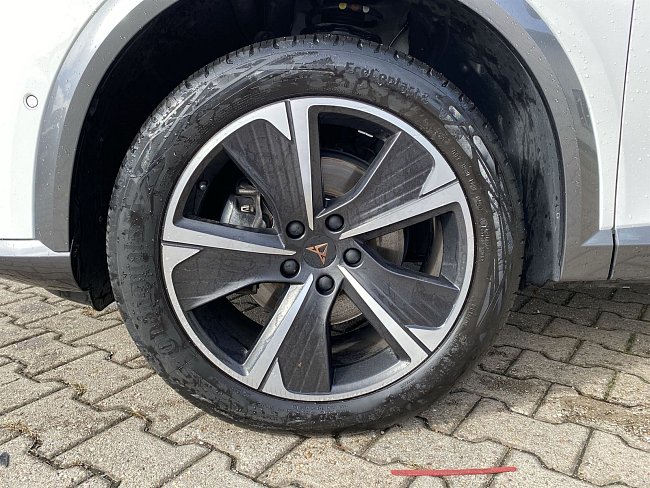 20195345.jpg