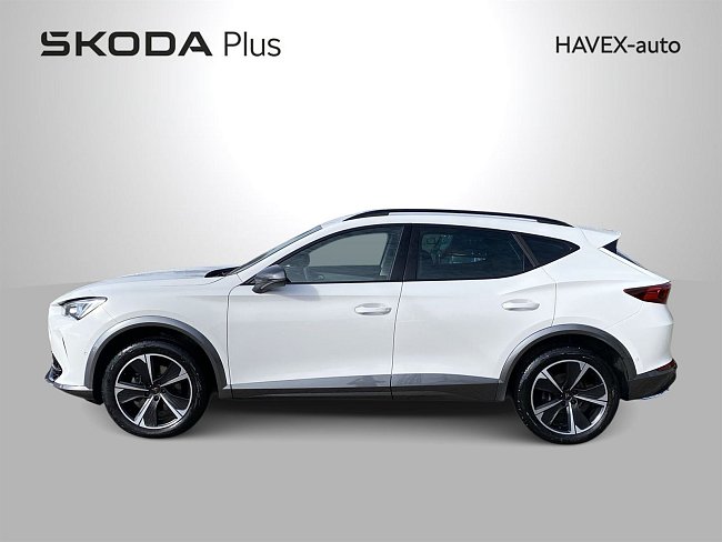 20195355.jpg