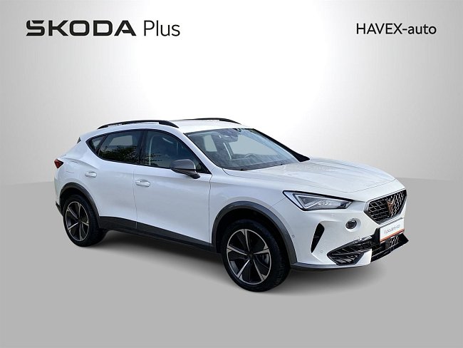20195356.jpg