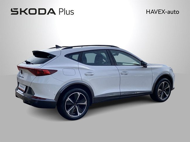 20195358.jpg