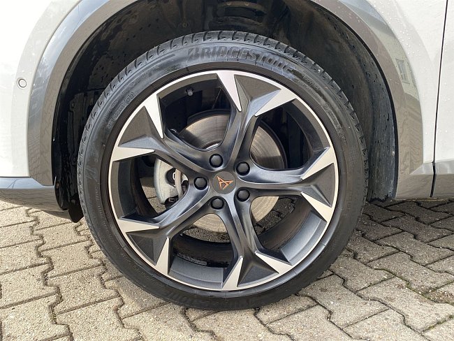 20195446.jpg