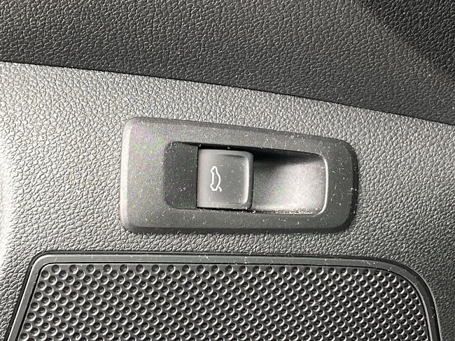 20195451.jpg