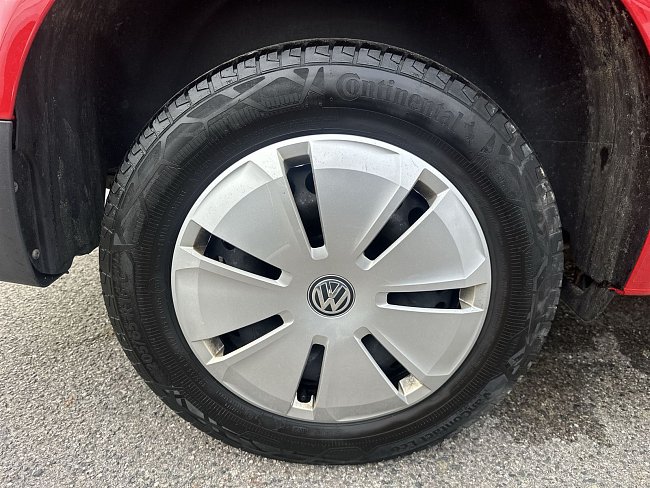 20195442.jpg