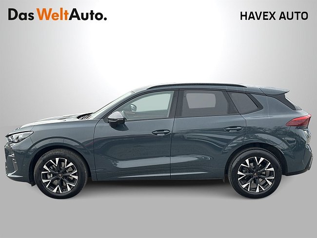 20195440.jpg