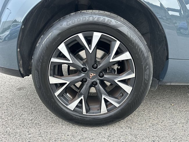 20195447.jpg