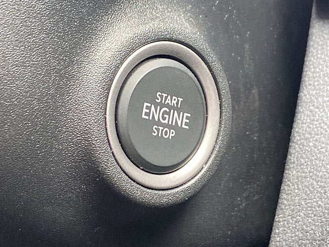 20195447.jpg