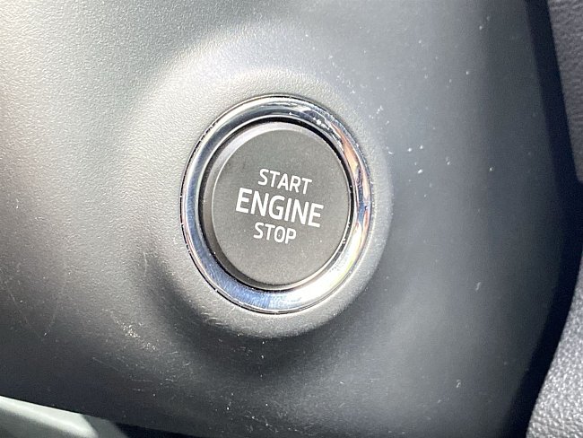 20195434.jpg