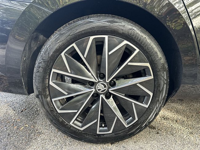 20195434.jpg