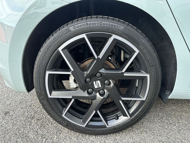 20195431.jpg