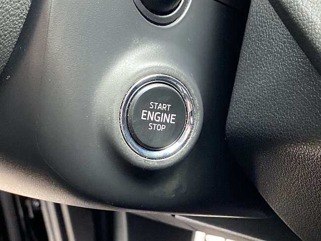 20195431.jpg