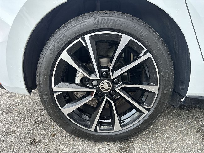 20195411.jpg
