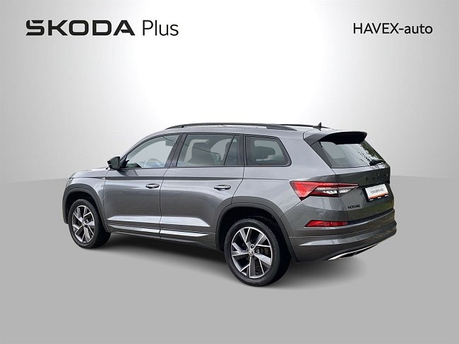 20195395.jpg