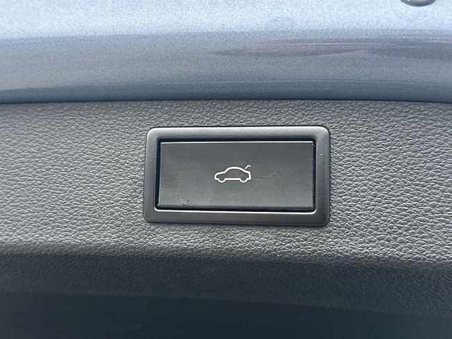 20195411.jpg