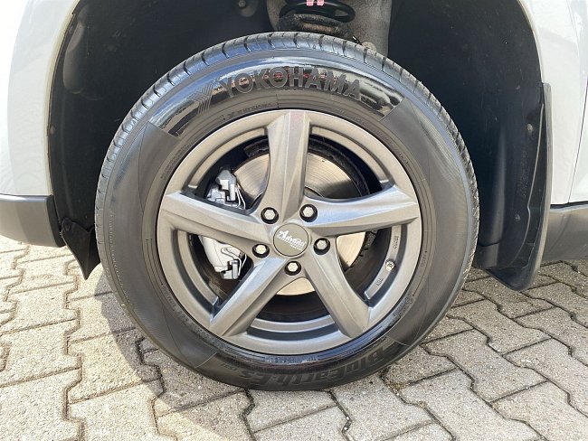 20195392.jpg