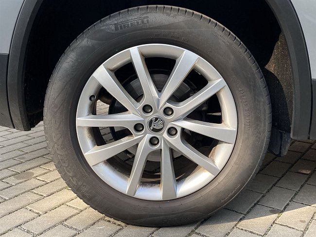 20195444.jpg