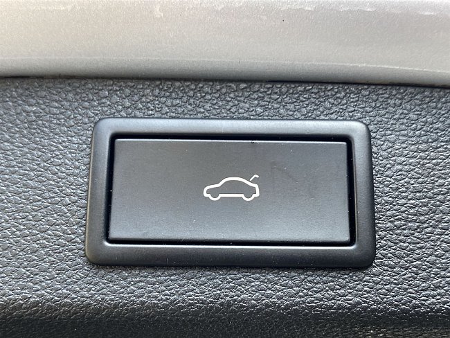 20195446.jpg