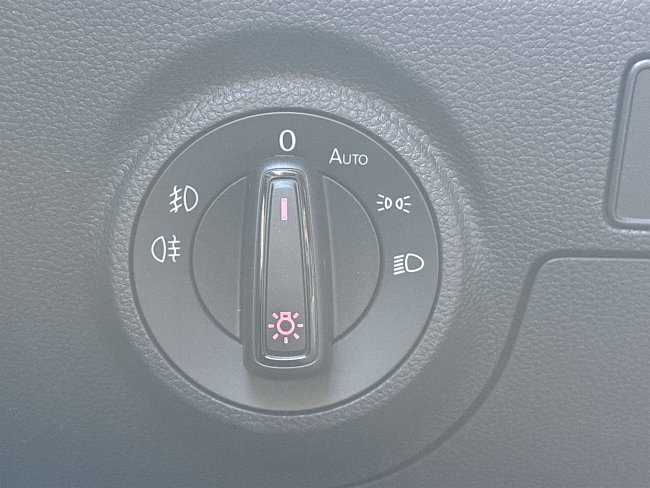 20195760.jpg