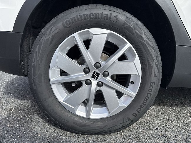 20195772.jpg