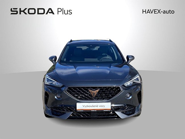 20195745.jpg