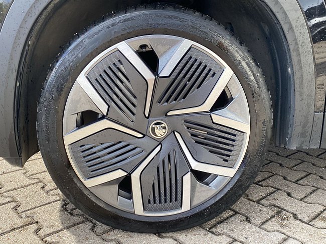 20195750.jpg
