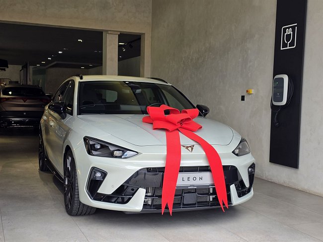 20195753.jpg