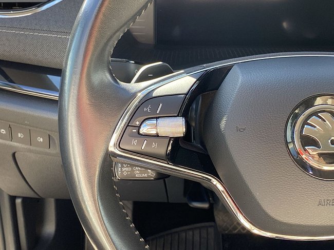 20195760.jpg