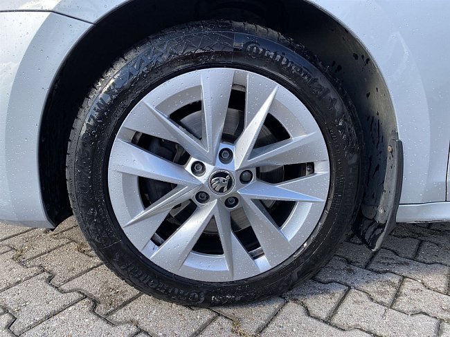 20195768.jpg