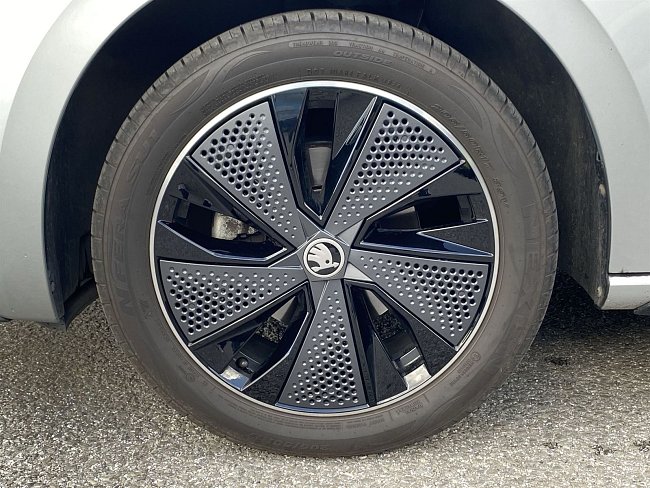 20195759.jpg