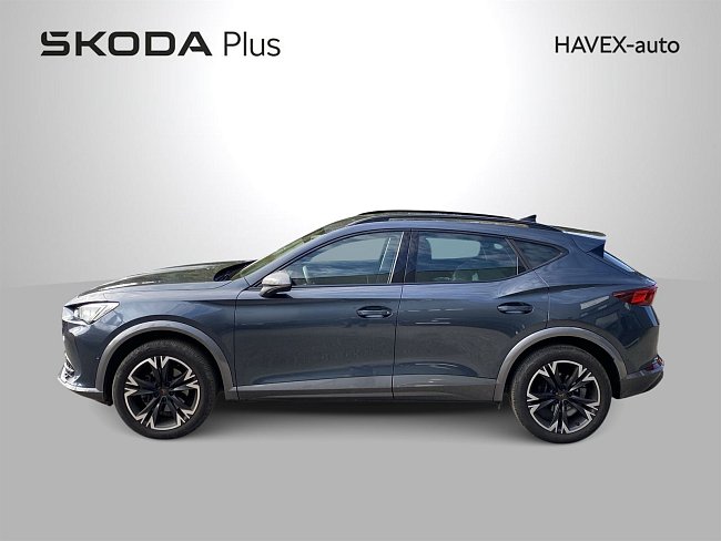20195762.jpg