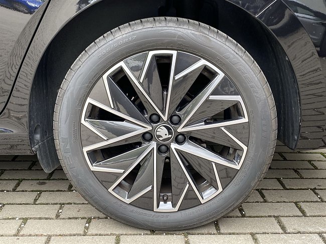 20195741.jpg