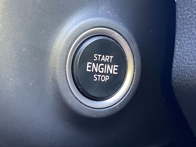 20195735.jpg